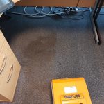 Carpet cleaning result from Carpet Guru 9