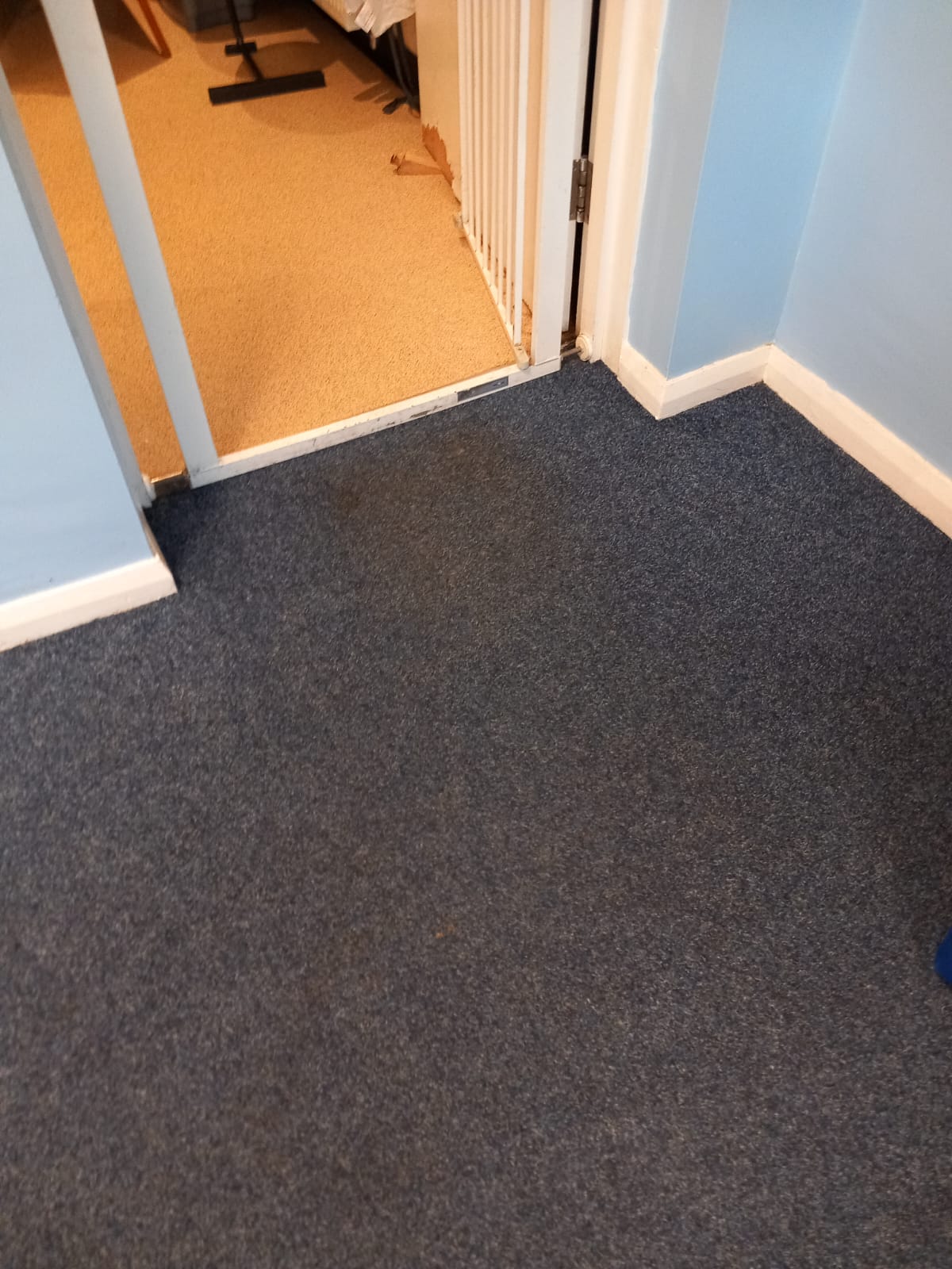 Carpet cleaning result from Carpet Guru 2