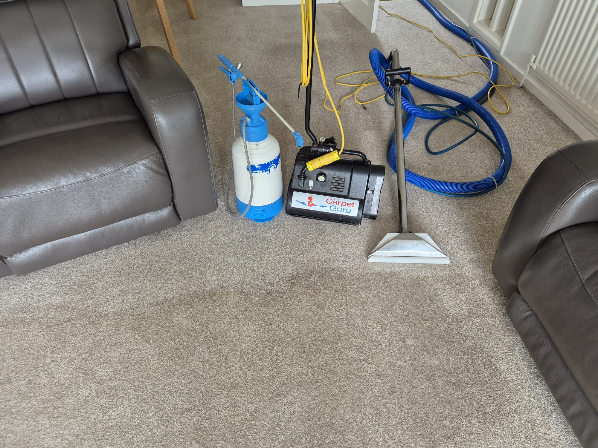 Carpet cleaning result from Carpet Guru 7