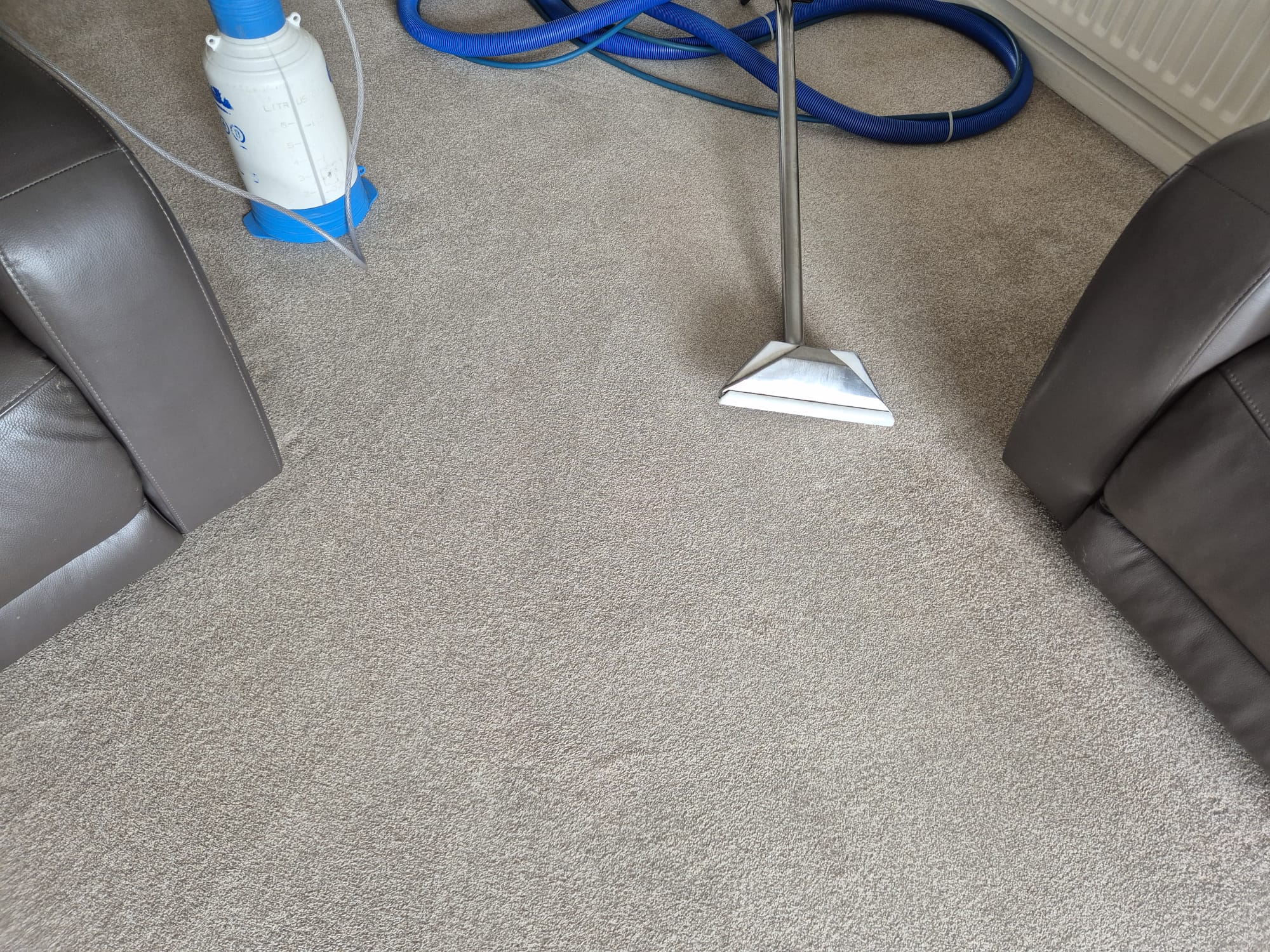 Carpet cleaning result from Carpet Guru 9
