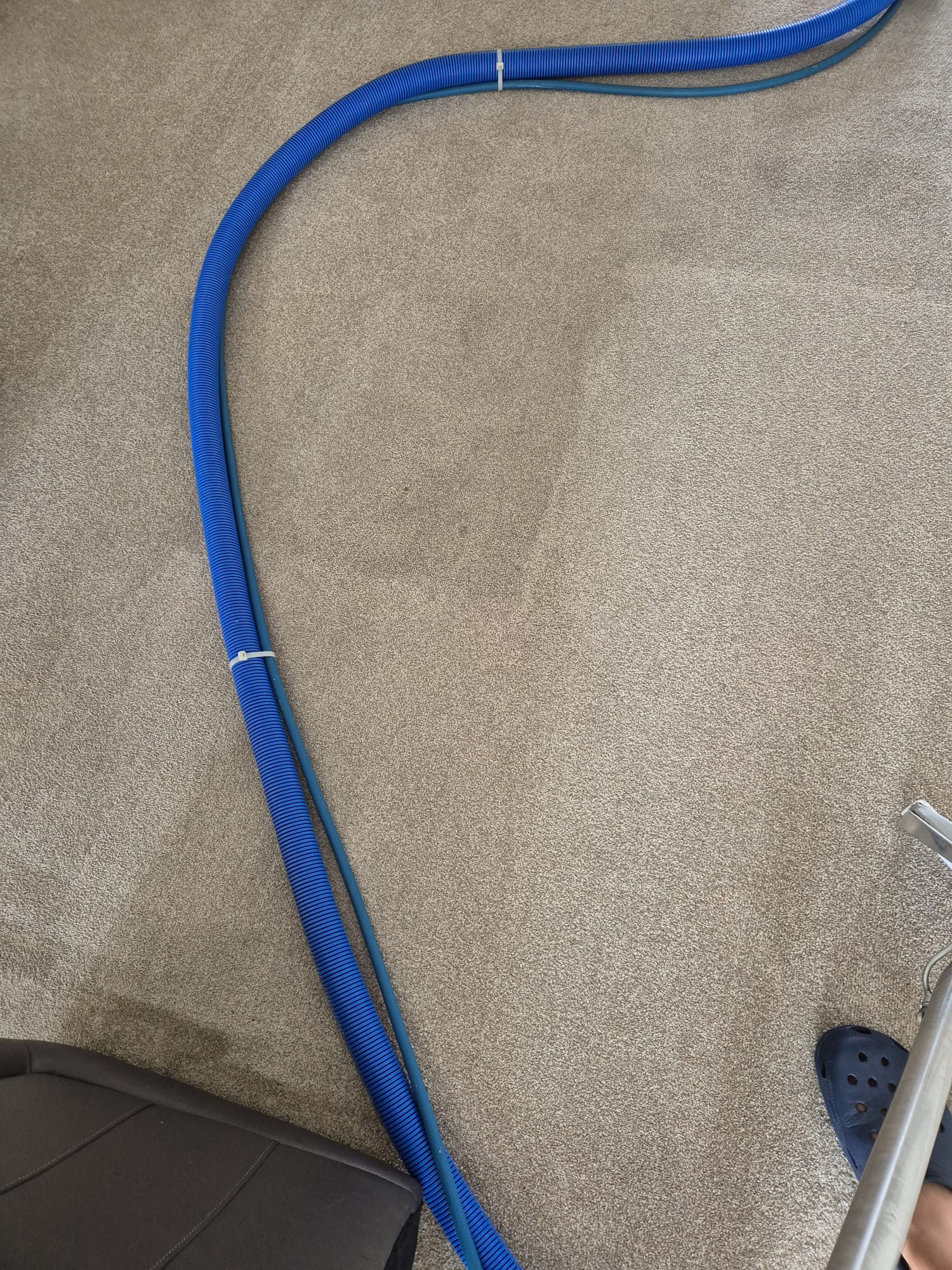 Carpet cleaning result from Carpet Guru 12