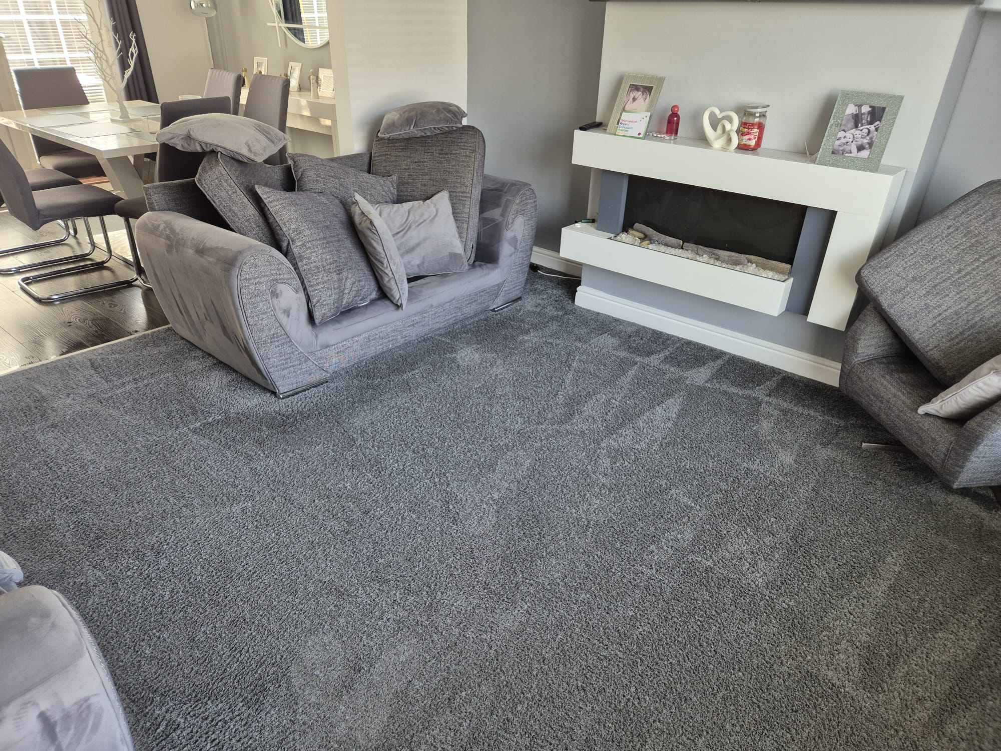 Professional carpet cleaning services